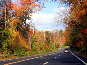 fall-foliage-northeast-tarrytown-new-york.jpg.rend.tccom.616.462
