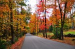 New-Hampshire-fall-foliage-540×358