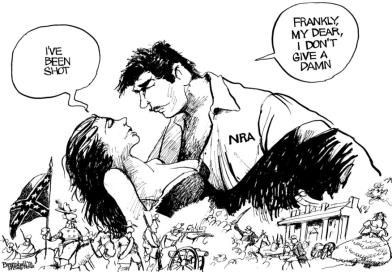 bramhall-world-nra-viewpoint