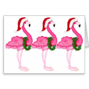 flamingo_christmas_card_srf-r9da87e8a670445188639a8e1b4838f6b_xvuak_8byvr_324