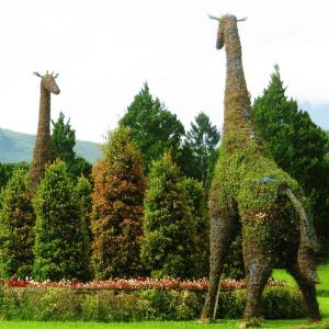3-beautiful-animal-topiary-4-6-2-3-8-9-2