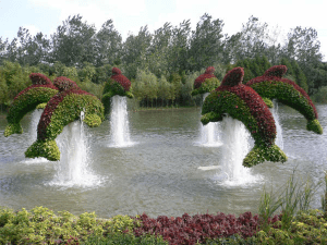 8-beautiful-animal-topiary-4-6-2-3-8-9-2