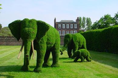 topiary elephants