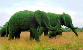topiary elephants2