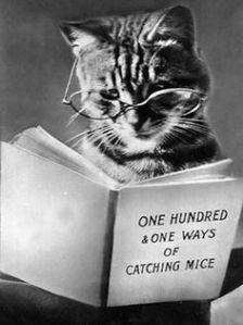 cfb869f0983234d46e6f93b0c1b19d35