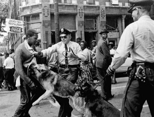 NYT photo of Parker High School student Walter Gadsden being attacked by police dogs, 1963, by Bill Hudson