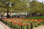Boston garden spring&nbsp;flowers