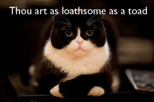 enhanced-buzz-19601-1365607093-20