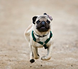 fbb9e510884e48c9828b933f161fabf7