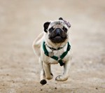 fbb9e510884e48c9828b933f161fabf7