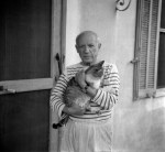picasso-cat-500×462