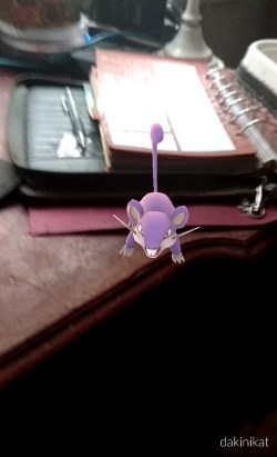 13725079_10153864585603512_739263507375020311_o