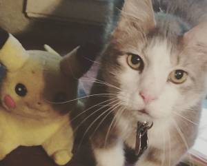 Miles gets a Pikachu (Polygon) Emily got this for me a long time ago because she knows I adored the spunky little beast.