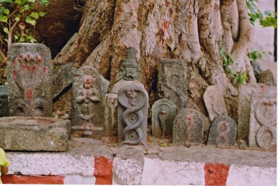 Vijayanagar_snakestone