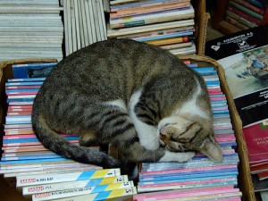 6a00d8341c630a53ef0105362303d6970b-800wi