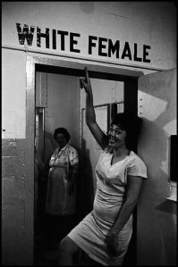 474c9df0fd622eea85904b4d6d4f2e0c