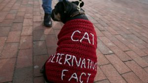 Boston, MA -- 2/19/2017 -  A dog named Louis Vuitton wears an Alternative Fact sweater as scientists, science advocates and community members rally in Copley Square.  (Jessica Rinaldi/Globe Staff) Topic: 20scientists Reporter: