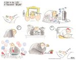 A day in the life of President Trump, Ann&nbsp;Telnaes