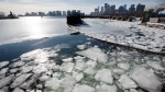 sea ice floats in Boston&nbsp;Harbor