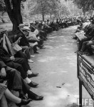 Benches lined with people reading newspapers with headlines of the D-Day invasion in Pershing Square Park June 6, 1944, Los Angeles, CA, John Florea, LIFE Photo&nbsp;Archive.