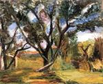 Olive Tree Matisse&nbsp;1898