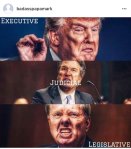 executive judicial legislative