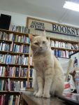 Adams Avenue Book Store in San Diego, CA&nbsp;Bartleby