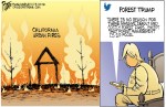 Bruce Plante Cartoon: Trump and California&nbsp;Fires