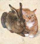 albrech durer hare and&nbsp;cat