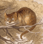 The Cheshire Cat John Tenniel&nbsp;1865