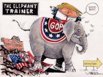 Elephant trainer