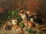 A Family of Rabbits (Oil on Canvas), by Alfred Richardson&nbsp;Barber
