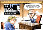 apprentice