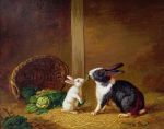 Two Rabbits, by H.&nbsp;Baert