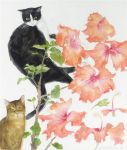 Elizabeth Blackadder, Cats and&nbsp;Hibiscus