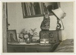 a cat perched on a radio, Sam&nbsp;Hood
