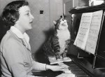 As Marion Holland 15, plays the piano, Money the cat joins in the singing.&nbsp;1953