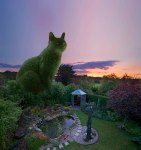 Topiary-Cat-at-home-evening Richard Saunders