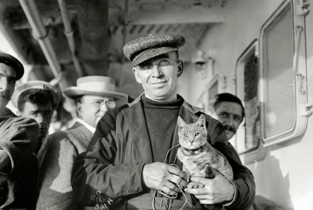 72c9a967177573d9be0c8ffe9e9e4adb