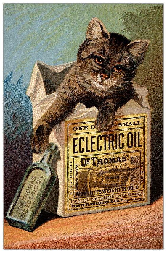 Dr. Thomas’ Eclectric Oil was formulated by Dr. S. N. Thomas in the late 1840s. It contained spirits of turpentine, camphor, oil of tar, red thyme, and fish oil