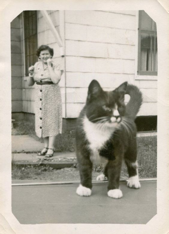 e1297ccbd67ecb620f647fc23e69d862