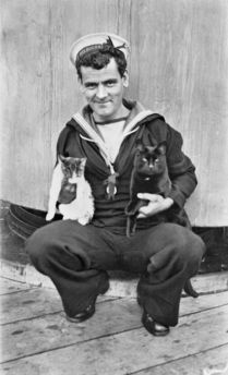 Sailor on board the HMAS Melbourne holding two ship's cats, 1917I