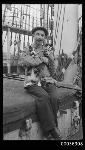Seaman with a cat and kitten, c 1910, Australian Maritime Museum