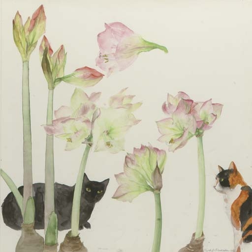 Amaryllis and Cats, Elizabeth Blackadder