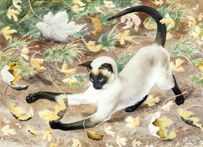 Cat playing, Charles Frederick Tunnicliffe