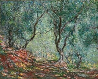 Claude Monet - (1840 - 1926) Ulivi nel giardino Moreno 1884