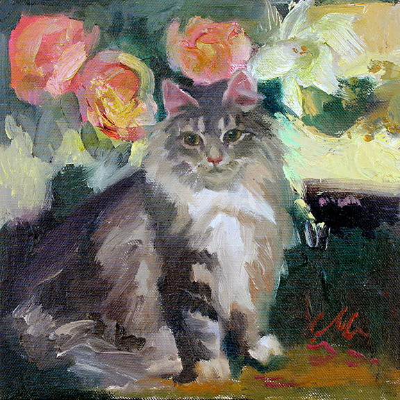 Grey-Kitty-CM-Cooper