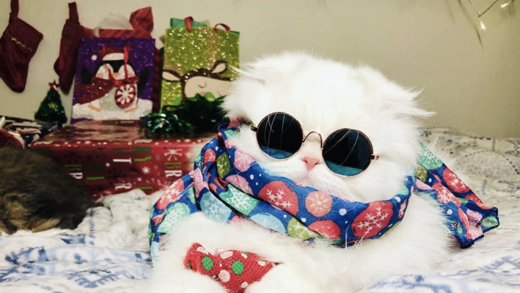 Screen_Shot_2018-12-12_at_1.56.56_PM_1024x1024