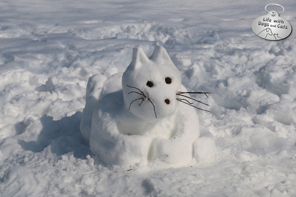 Snow-cat-logo-72