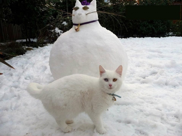 cat-snowman